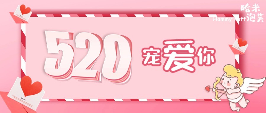 哈米泡芙 | 520宠爱你
